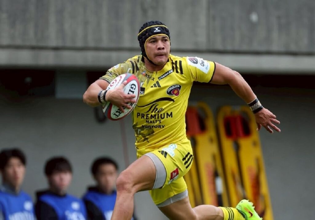 Cheslin Kolbe South Africa return