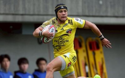 Cheslin Kolbe South Africa return