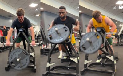 Springboks gym England