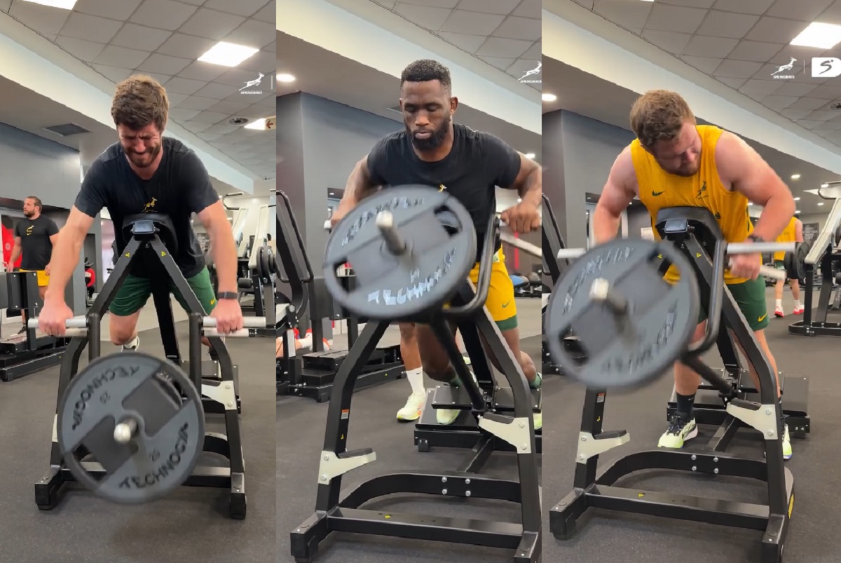 Springboks gym England